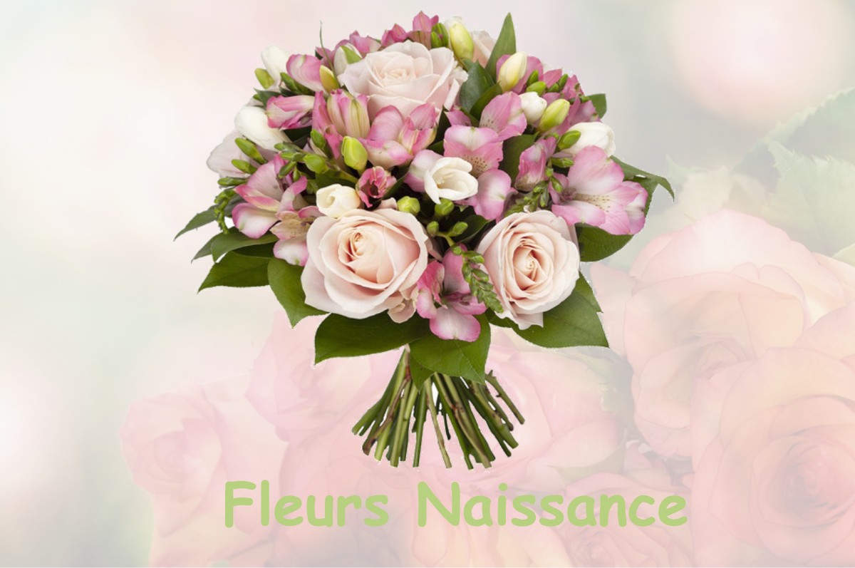 fleurs naissance VISKER