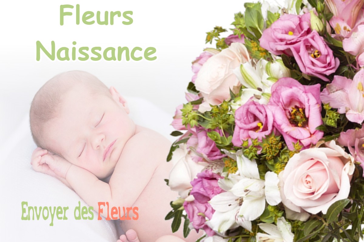 lIVRAISON FLEURS NAISSANCE à VISKER