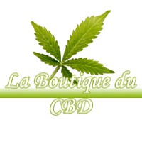 LA BOUTIQUE DU CBD VISKER 